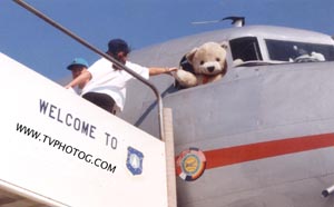 welcome on board, have a good flight