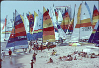 marine photograography & video